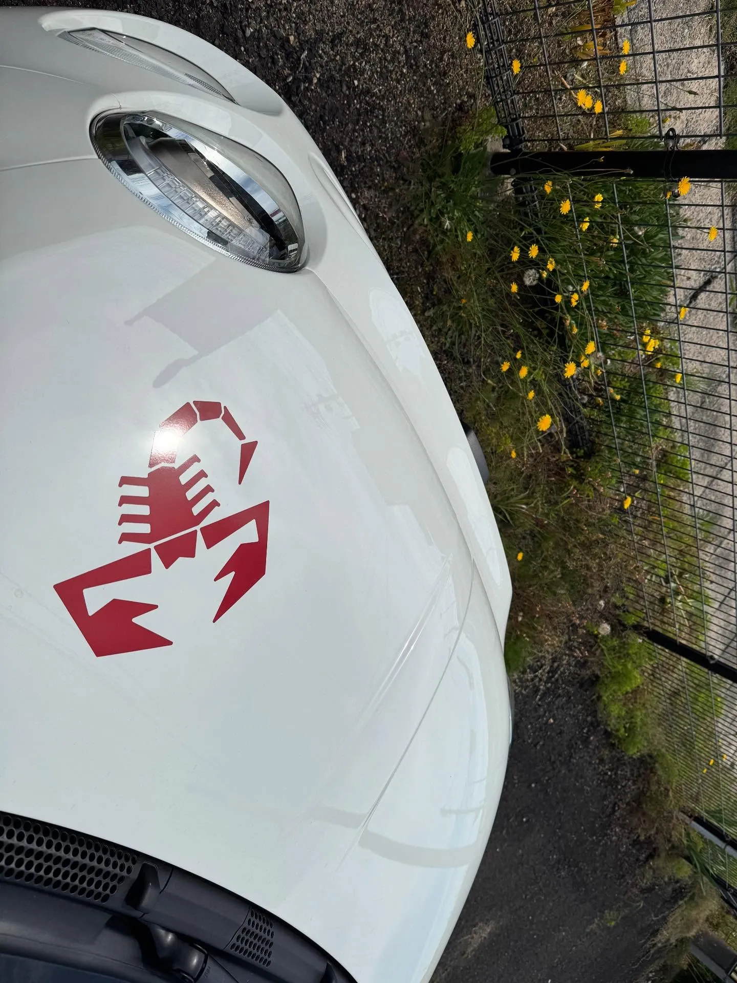 【一年目のアビー】