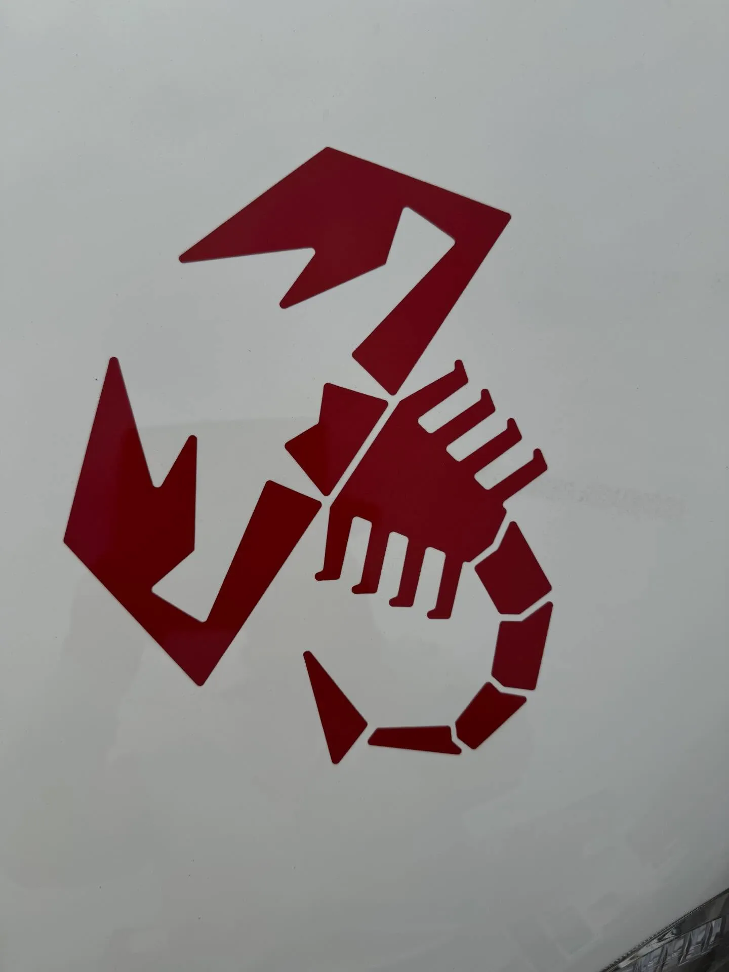 【1年6ヶ月点検のアビー】