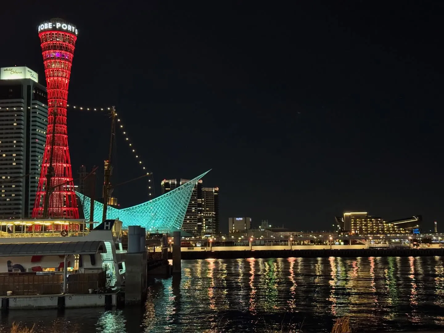 【パワーアップ⬆️】